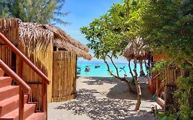Sea To Moon Lipe